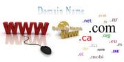 DOMAIN NAME WEB HOSTING SERVICE INDIA