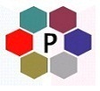 Polygon Infotech Web and Software Company