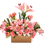 Floral Gifts To India Is The Local Online Florist In Raipur