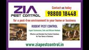 Rodent Pest Control | prevent the entry of rats and mice into your pro